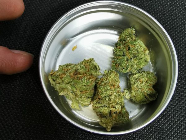 g13-haze-2021-new (1)