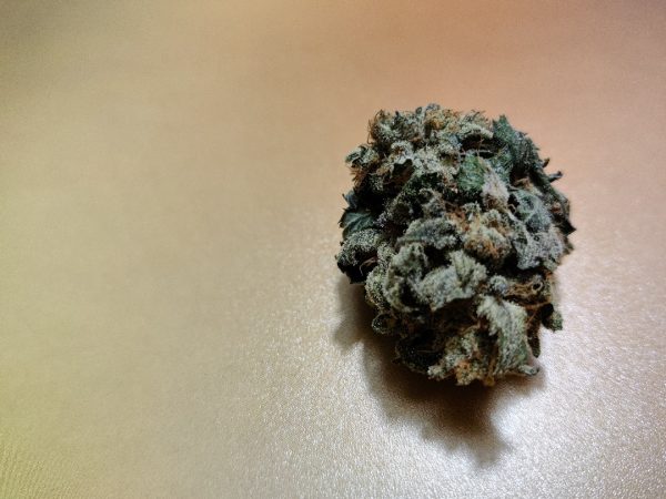 green-gelato-2019 (3)