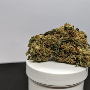 Cannalope-Haze-2021 (5)