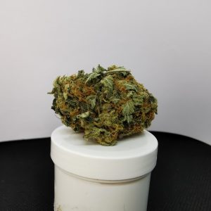 amnesia-kush-2021 (3)