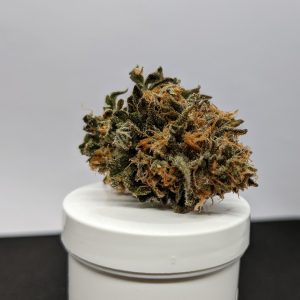 gelato-sorbet-2021 (4)